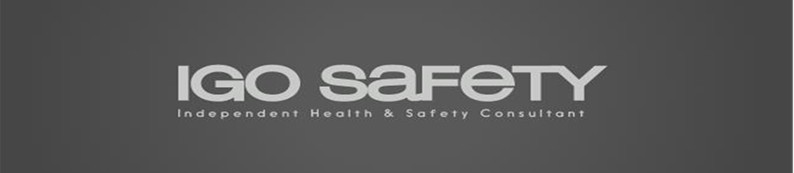 Igo Safety Audits